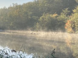 impressionen weiher_02